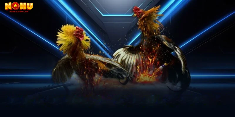 Lịch sử và nguồn gốc của đá gà tại Nohu52