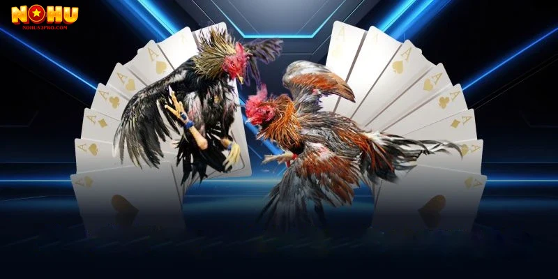 Hướng dẫn và kinh nghiệm chơi đá gà Nohu52