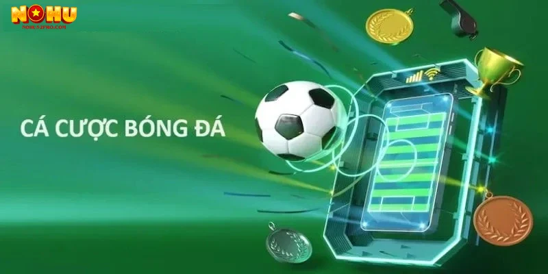 Giao diện và trải nghiệm người dùng