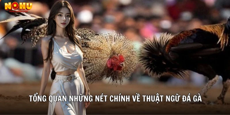 Tích hợp kiến thức thuật ngữ với các nguồn tin tức cập nhật